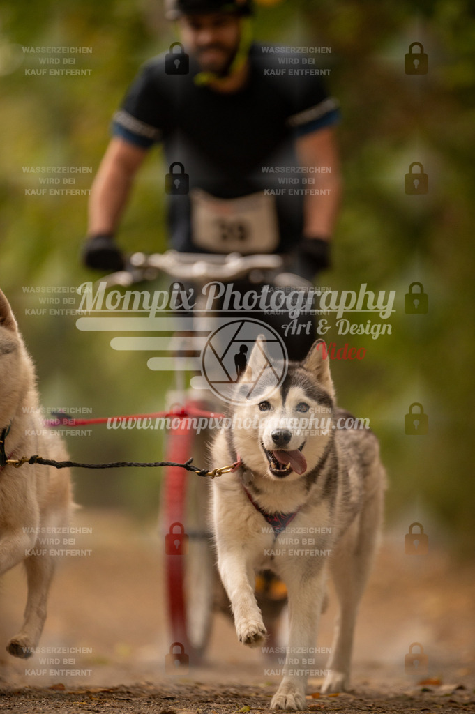CDLBDB_14_10_2023_Samedi-58 | PayLife