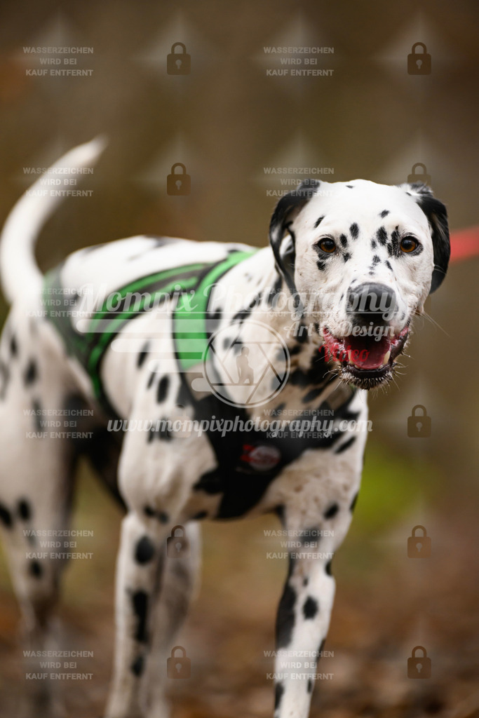 MompixPhotography_Eschau2024_CCC-126 | PayLife