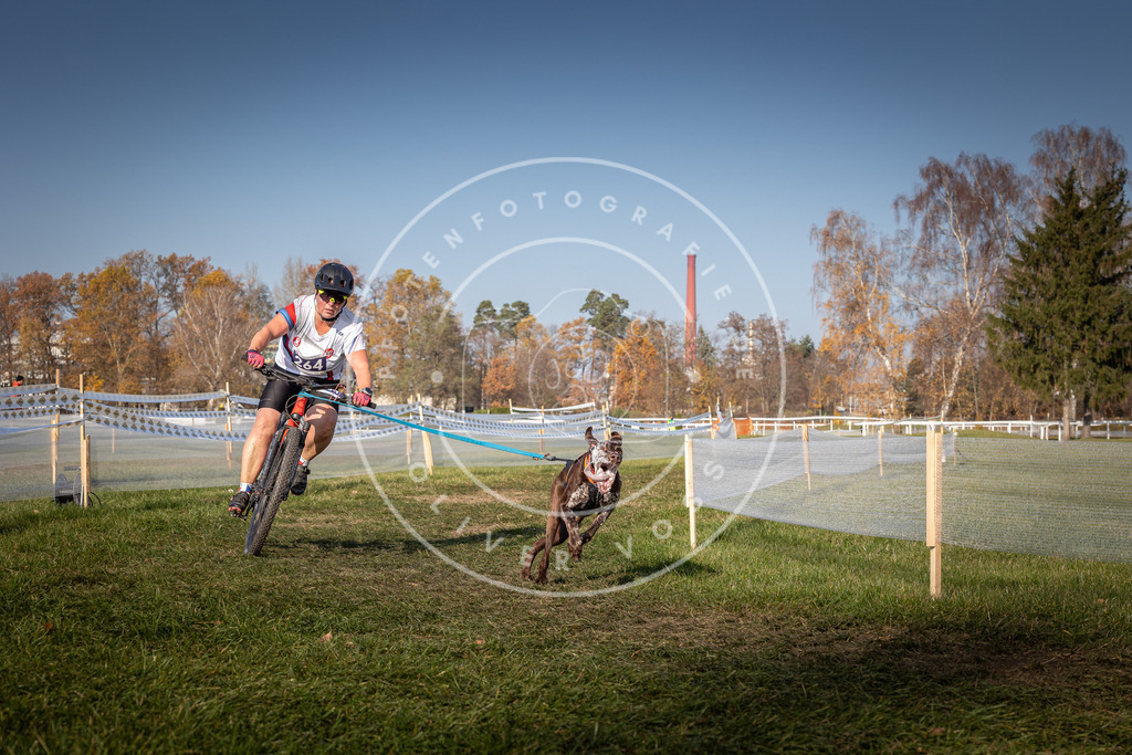 CaniXpix_0L8A7116 | Hundefotografie, Tierfotograf, Pfotenfotografie, Fotoshooting Hund, Hunde Portrait, Hundesport, Hundeportraits, Heideshooting, Hunde, Sportfotograf, Hundefotograf, Turnierhundsport, THS,  - Realisiert mit Pictrs.com