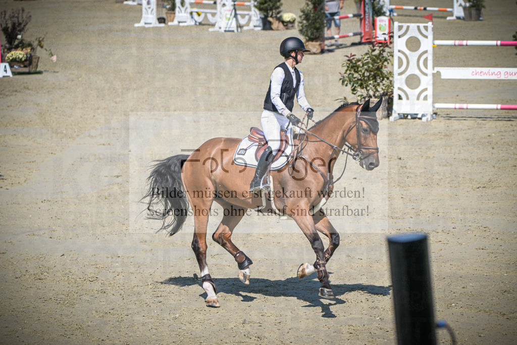 DOS_0985 | Entdecke hochwertige Reitturnierfotos von Foto Oger. Professionell, emotional und authentisch – jetzt Lieblingsmomente im Shop bestellen.Deutschlandweite Turnierfotografie. - Realisiert mit Pictrs.com