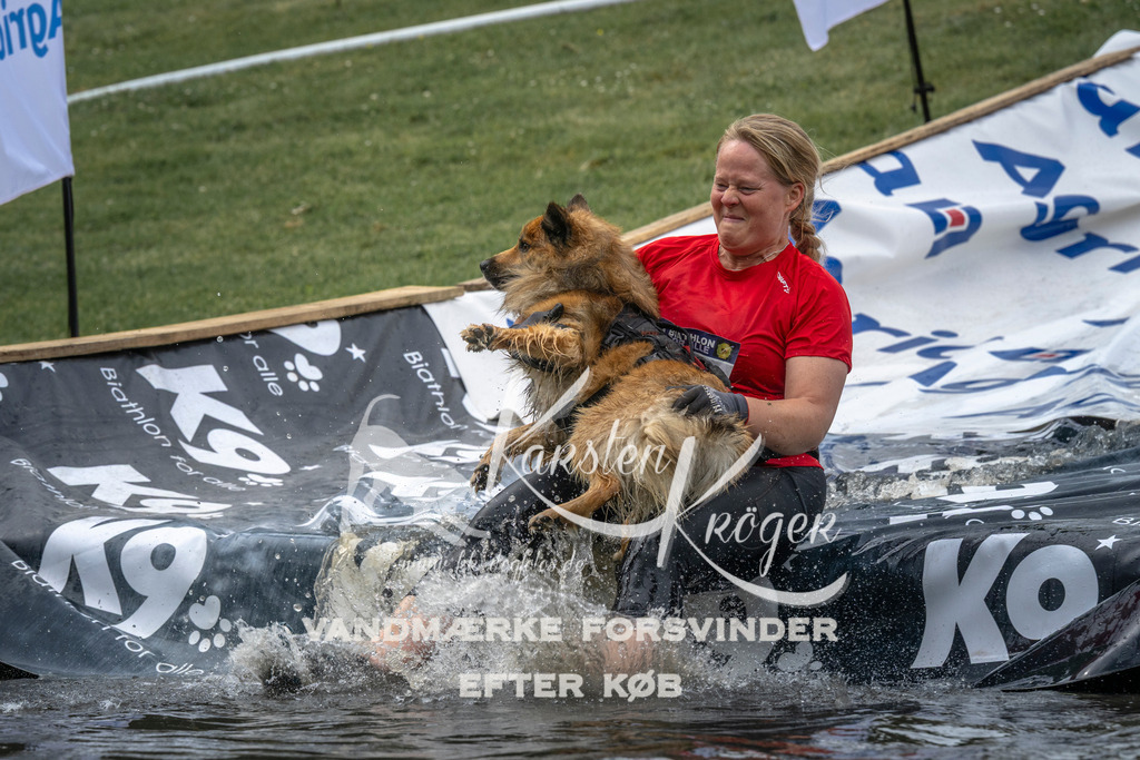 1501_ZZ93211 | kk-dogfotos
