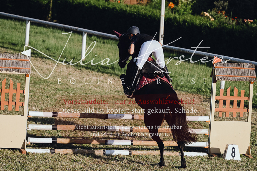 DSC_3255 | Pferde- und Turnierfotografie in Westsachsen. Pferdeportraits, Auftragszeichnungen und intuitive Kunst.