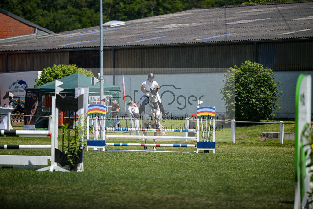 Reitturnier Voxtrup | Entdecke hochwertige Reitturnierfotos von Foto Oger. Professionell, emotional und authentisch – jetzt Lieblingsmomente im Shop bestellen. - Realisiert mit Pictrs.com