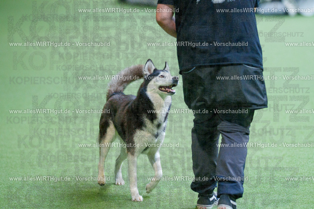 @allesWIRTHgut_Tierfotografie - www.allesWIRTHgut.de - 2604251549-7R506253 | Professionelle Tierfotografie in Mönchengladbach von Daniel Wirth (allesWIRTHgut). Liebevolle & natürliche Bilder von Hunden & Katzen für unvergessliche Erinnerungen.