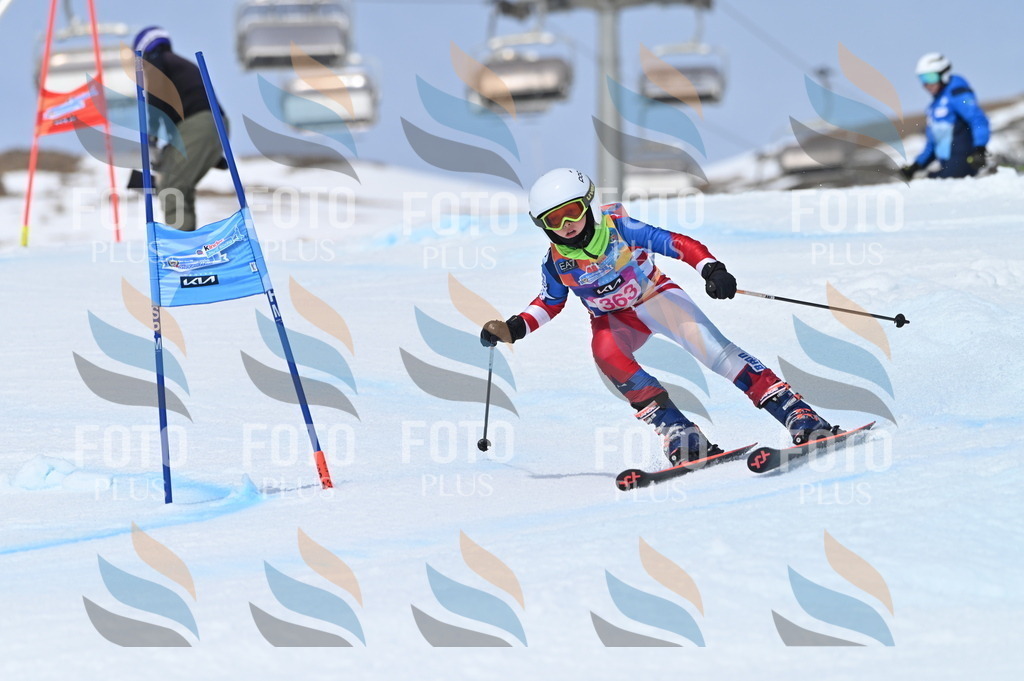 BGV_3898 | holidayphoto