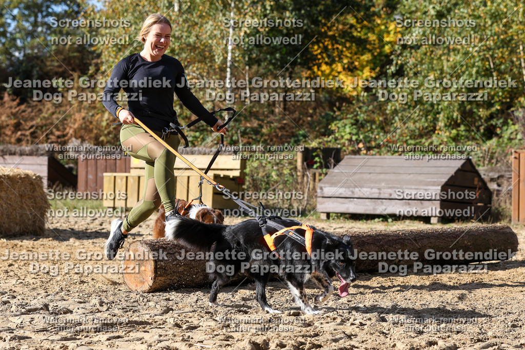 Dog Paparazzi - Strongdog 10-25-4886 | Dog Paparazzi Jeanette Grottendiek Fotografie & Videografie - Realisiert mit Pictrs.com