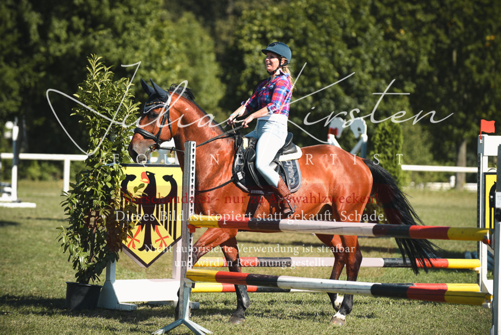 DSC_7761 | Pferde- und Turnierfotografie in Westsachsen. Pferdeportraits, Auftragszeichnungen und intuitive Kunst.
