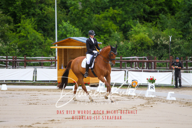 DKP46637 | Turniersportfotografie; Pferdefotografie; Dressurfotografie