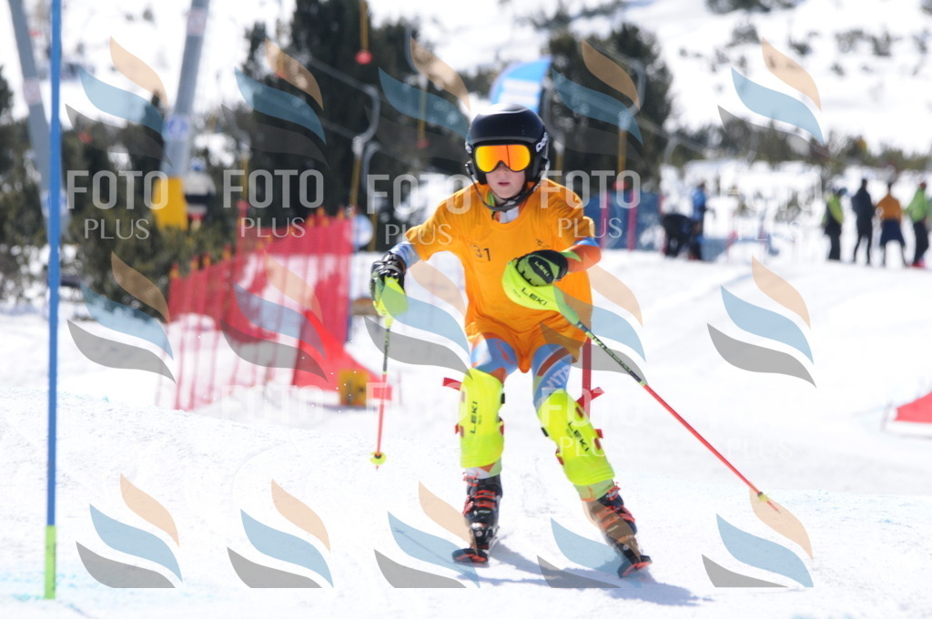 C9288 | holidayphoto