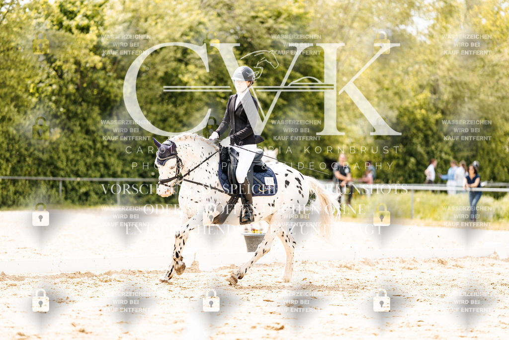 CK902373 | Turnierfotografie Pferdefotografie Trier Rheinland-Pfalz Pferdesport Reitsport Tierfotografie Sportfotografie Pferdevideo Pferdevideografie Equestrianvideography equestrianphotography  - Realisiert mit Pictrs.com