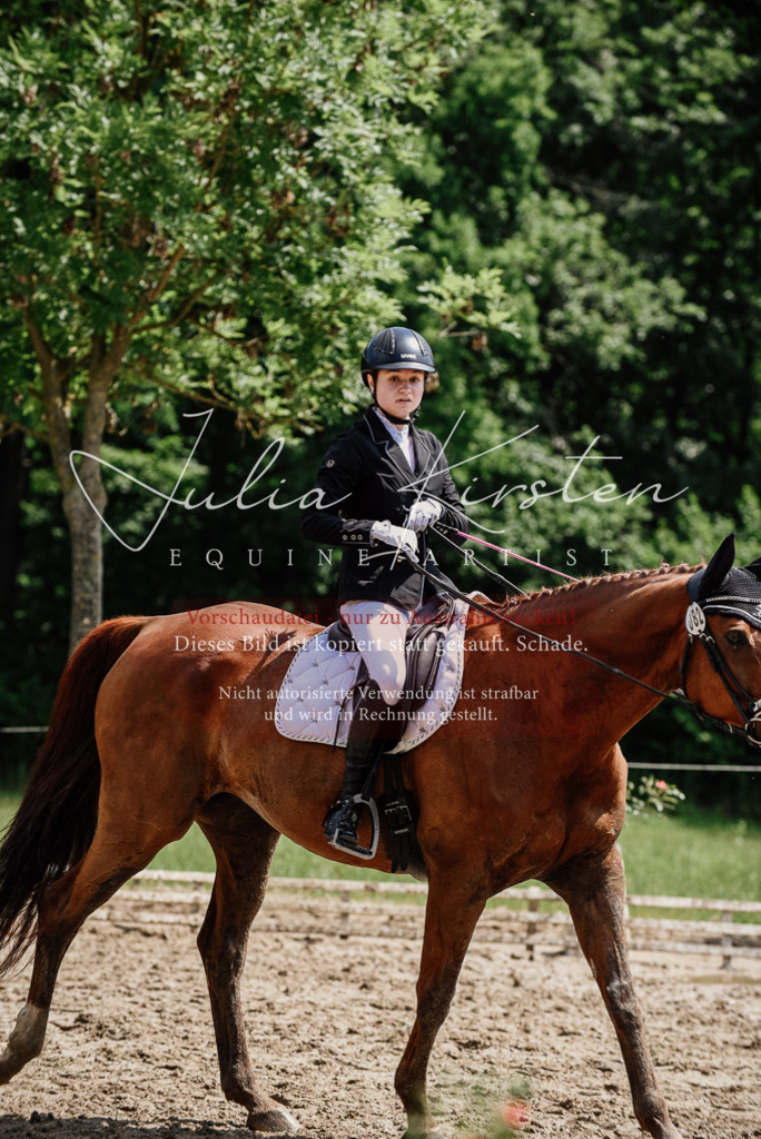 DSC_1427 | Pferde- und Turnierfotografie in Westsachsen. Pferdeportraits, Auftragszeichnungen und intuitive Kunst.