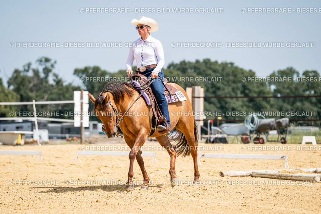 DSC00785 | Pferdegrafie