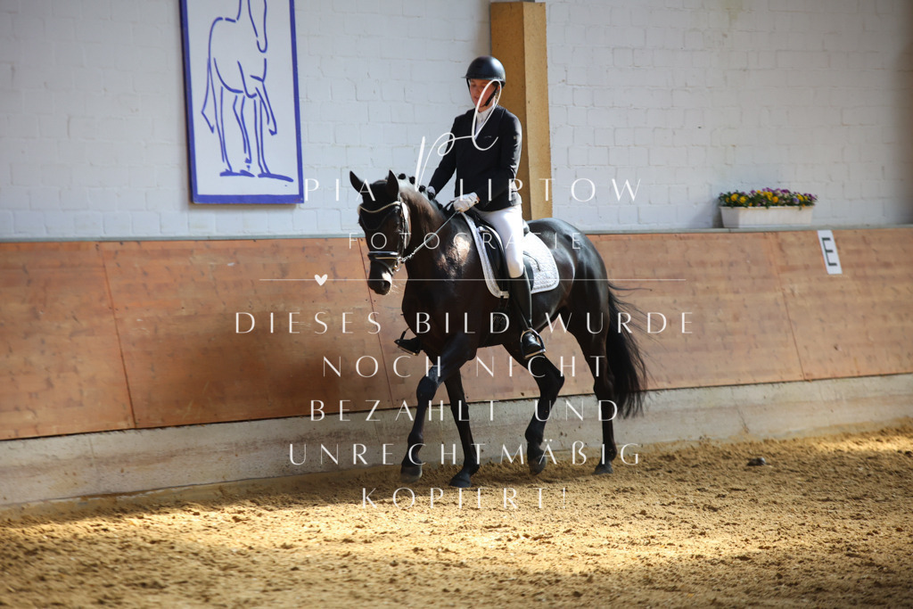 IMGT6796 | pl-fotografie