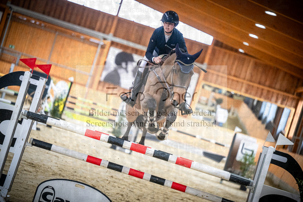 DOS_0336 | Entdecke hochwertige Reitturnierfotos von Foto Oger. Professionell, emotional und authentisch – jetzt Lieblingsmomente im Shop bestellen.Deutschlandweite Turnierfotografie. - Realisiert mit Pictrs.com
