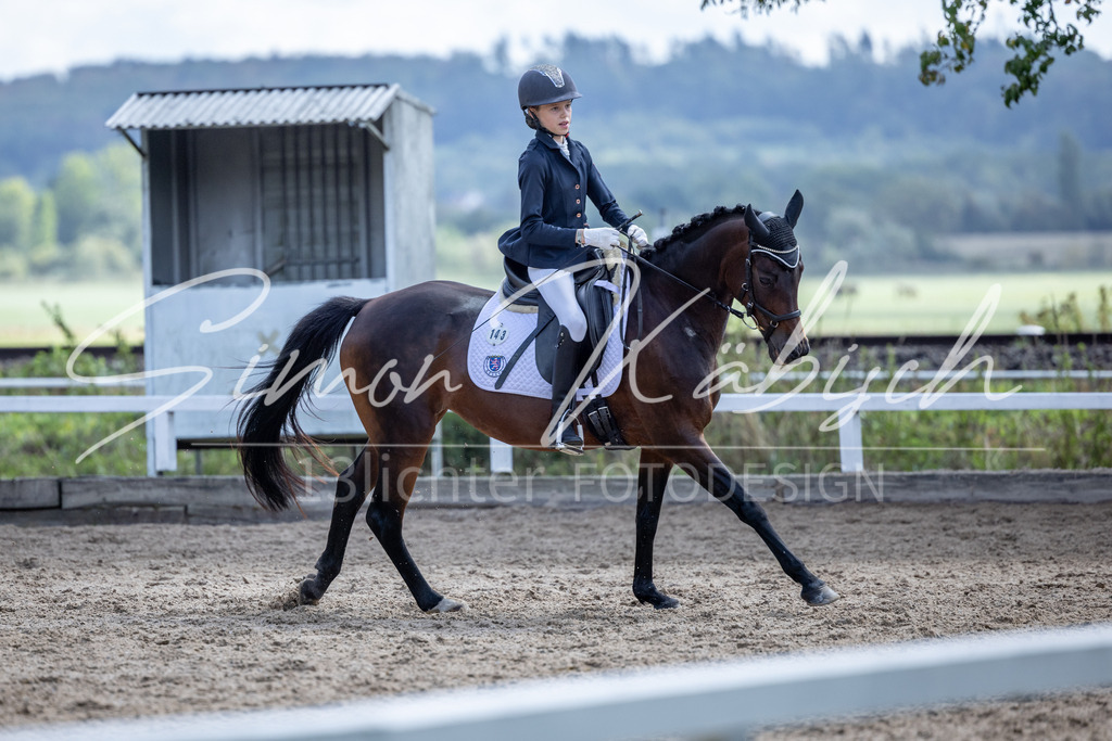 20260905-_3LI8320 | Tierfotografie Pferde, Hunde, Katzen, Haustiere.
Turnierfotografie Reitturniere, Reiten, Springreiten, Dressur in Hanau, dem Main-Kinzig-Kreis und dem Rhein-Main- Gebiet um Frankfurt