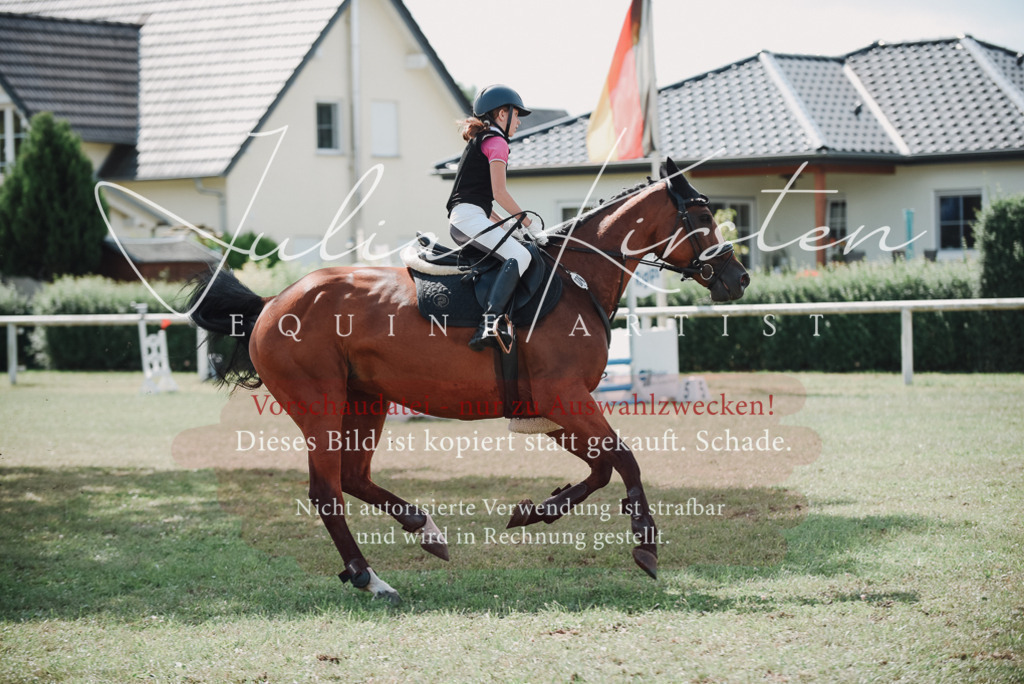 DSC_5635 | Pferde- und Turnierfotografie in Westsachsen. Pferdeportraits, Auftragszeichnungen und intuitive Kunst.