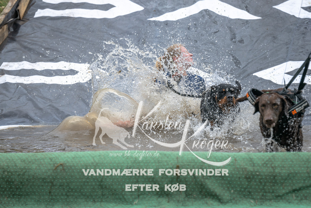 1509_ZZ91942 | kk-dogfotos