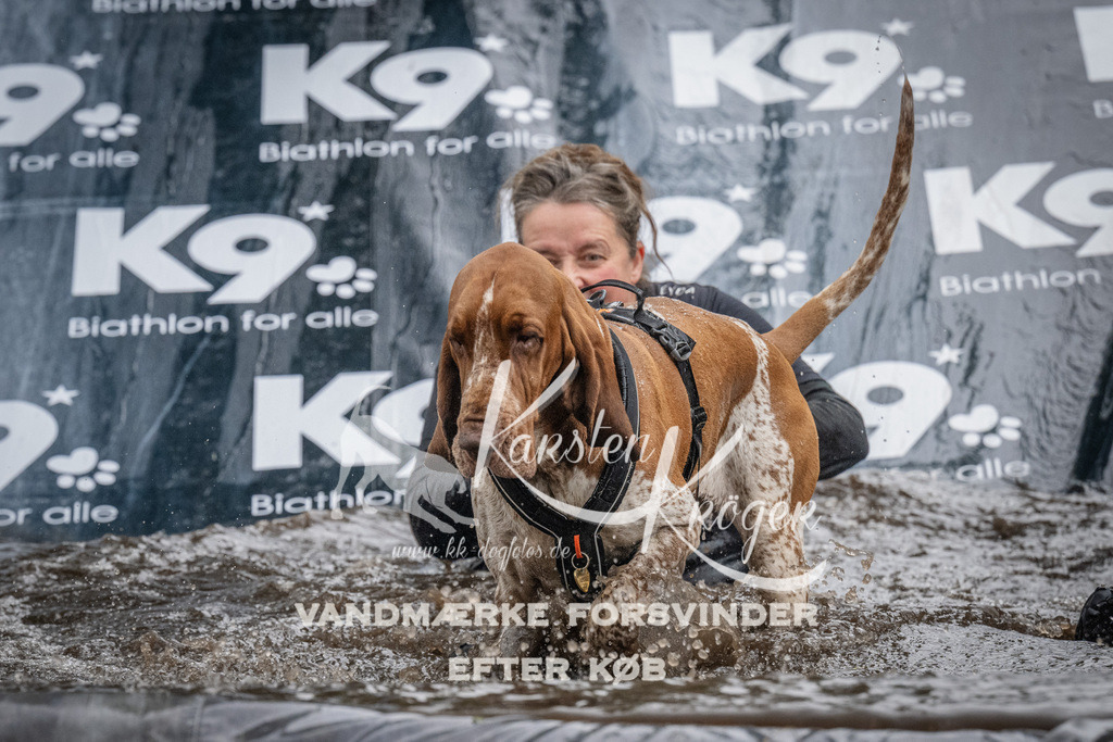 1157_ZZ93942 | kk-dogfotos