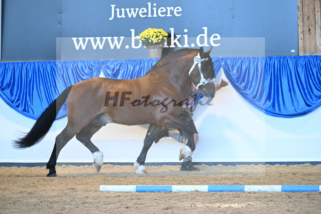 Kat-Nr. 100 Rivero_Mair_53220661 | hf-fotografie - Realisiert mit Pictrs.com