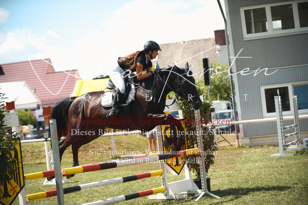 DSC_6680 | Pferde- und Turnierfotografie in Westsachsen. Pferdeportraits, Auftragszeichnungen und intuitive Kunst.