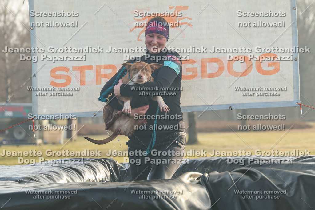 Dog Paparazzi - SD North Sa 830-900-50 | Dog Paparazzi Jeanette Grottendiek Fotografie & Videografie - Realisiert mit Pictrs.com