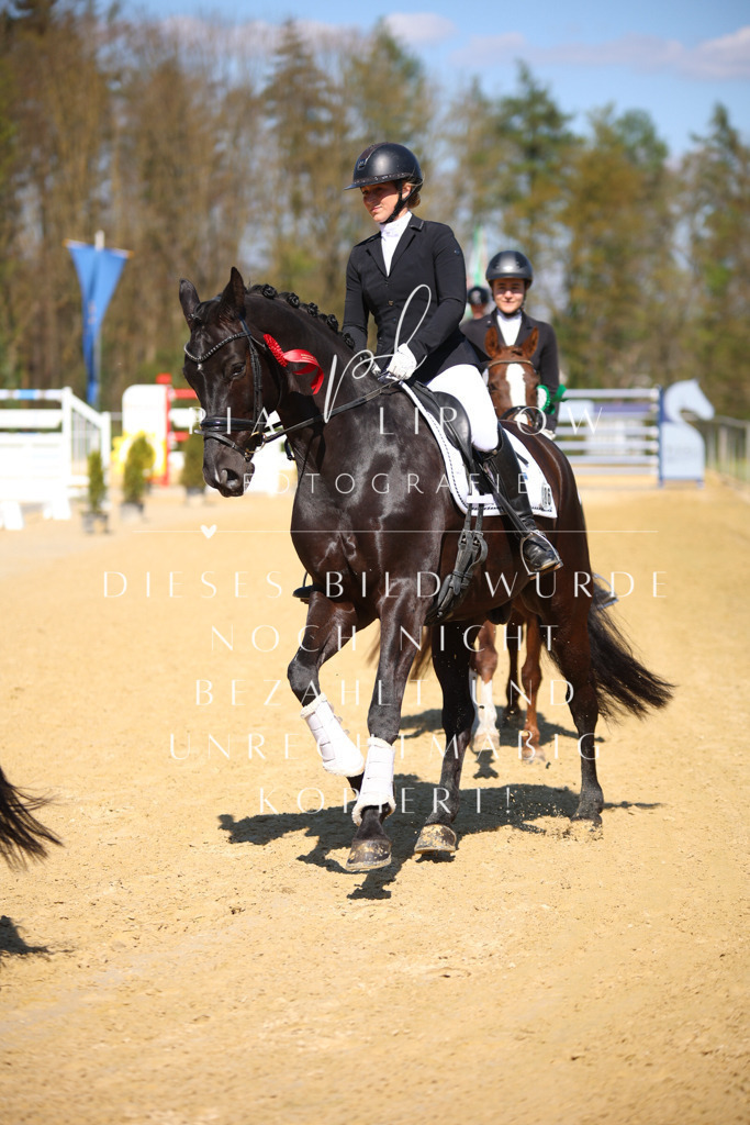 IMGT8221 | pl-fotografie