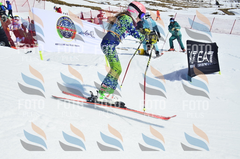 _ELE1250 | holidayphoto