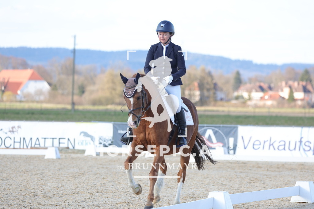 0P6A8096 | Willkommen bei Brunnmayr - Design & Fotografie – Ihrem Spezialisten für Reitturniere und Pferdeveranstaltungen in Oberösterreich, Salzburg und Bayern! Seit über 17 Jahren sind wir leidenschaftlich dabei.