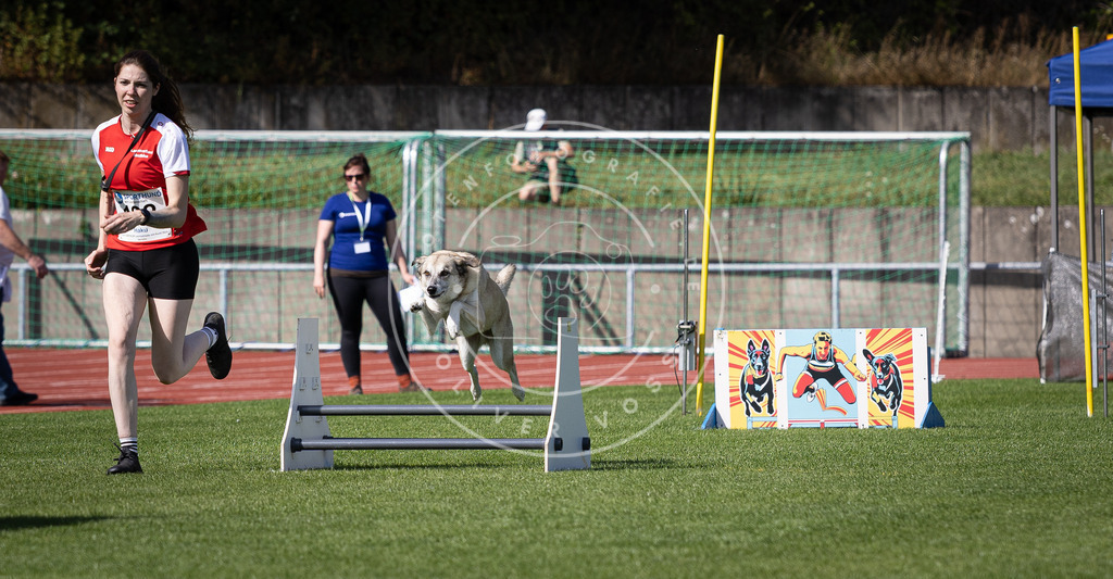 Pfotenfotografie_DV3A0612 | Hundefotografie, Tierfotograf, Pfotenfotografie, Fotoshooting Hund, Hunde Portrait, Hundesport, Hundeportraits, Heideshooting, Hunde, Sportfotograf, Hundefotograf, Turnierhundsport, THS,  - Realisiert mit Pictrs.com