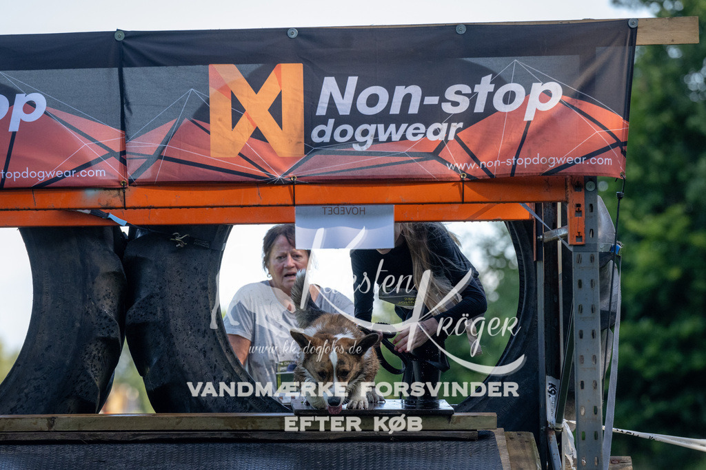 0906_ZZ90453 | kk-dogfotos