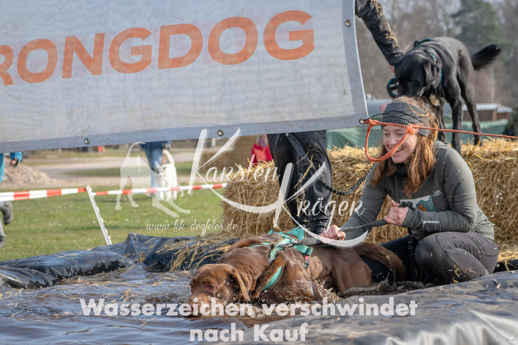 _ZZ91598 | kk-dogfotos