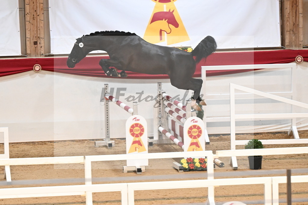 Kat.-Nr. 33 v. Vigaro_Schlamminger_3261813 | hf-fotografie - Realisiert mit Pictrs.com