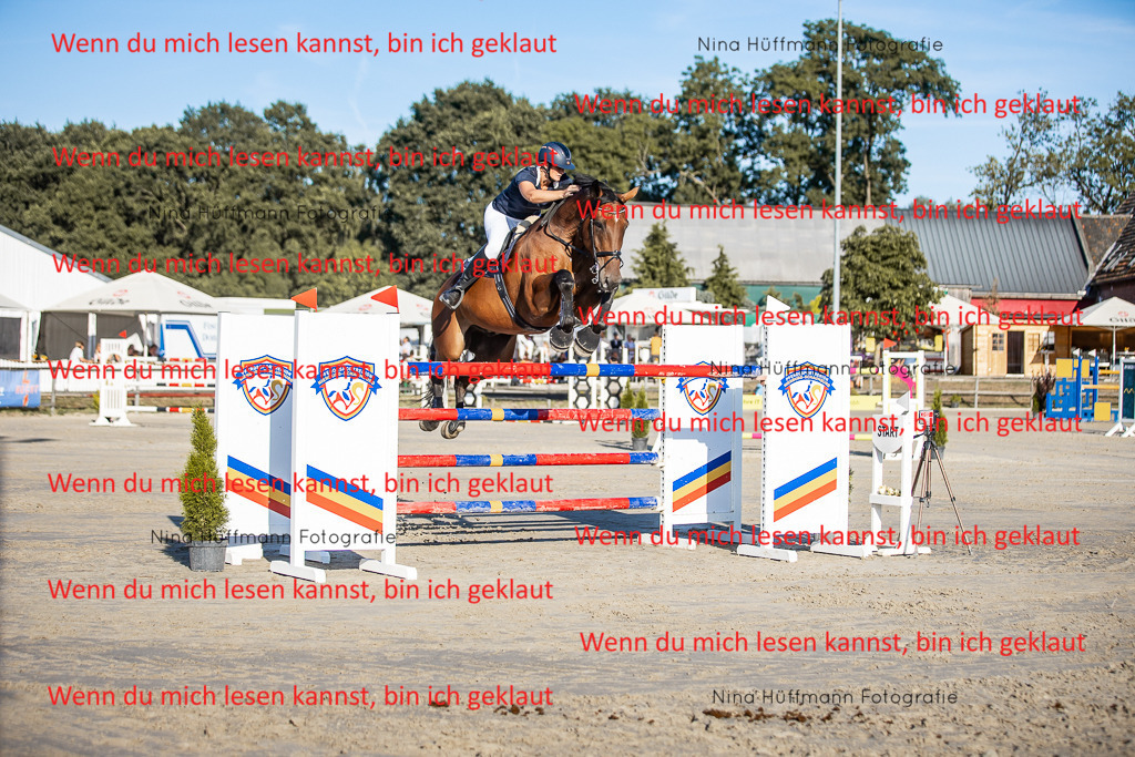 BK1A8773 | Turnierbilder Turnierfotos Nina Hüffmann Turnierfotografie Pferdefotografie Tierzeichnung Haustierzeichnung Pferdezeichnung Hundezeichnung Videograf  - Realisiert mit Pictrs.com