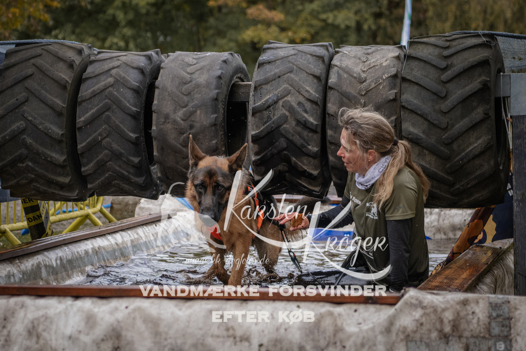 1618_ZZ92997 | kk-dogfotos