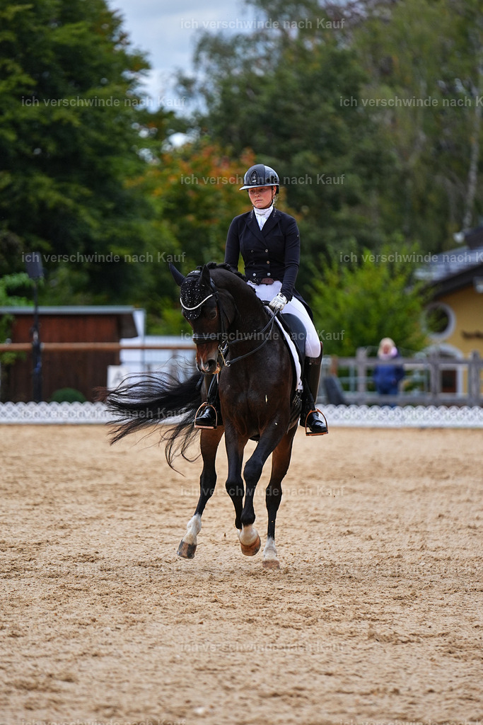 8_1-104-Klasse S_  -Marixx-4221 | working equitationturnier fotograf videograf stoibphotography marixx film working equitation deutschland reitsport turnierfotografie eventfotografie equestrian events