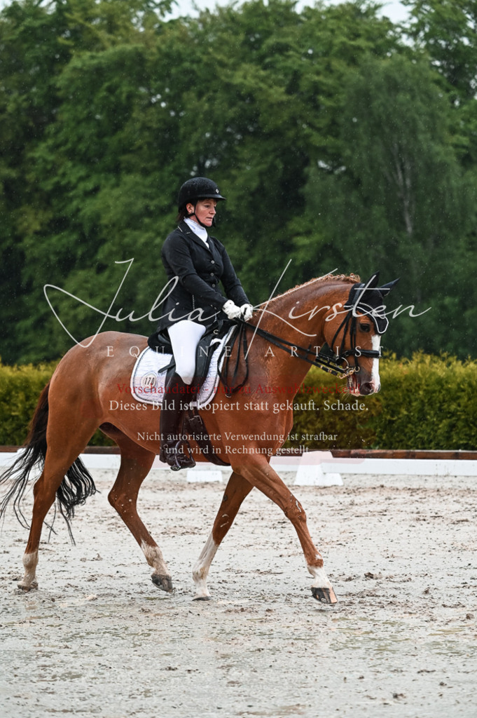 DSC_4455 | Pferde- und Turnierfotografie in Westsachsen. Pferdeportraits, Auftragszeichnungen und intuitive Kunst.