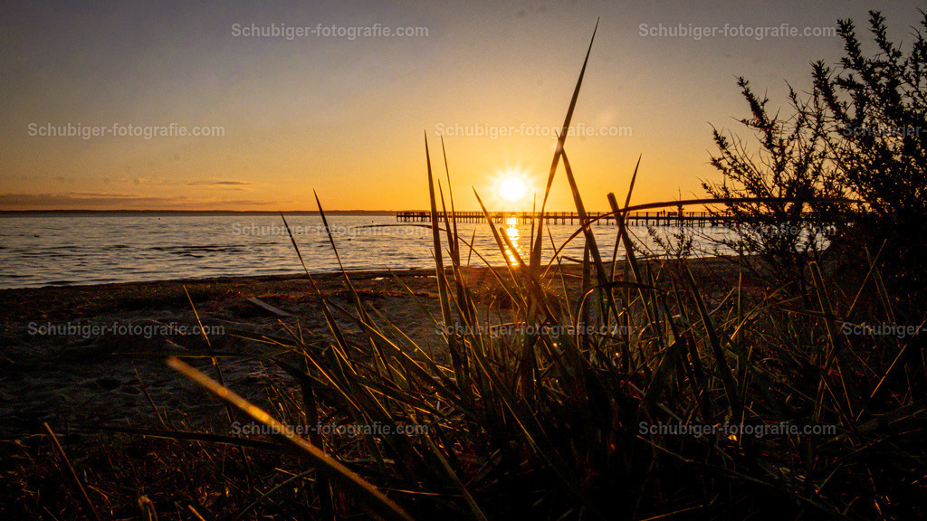 DSCF2937 | fotografie, Schubiger, Landschaftsfotografie, Tierfotografie, Industrie, Immobilien, Bilder, Poster, Kunst und KI - Realisiert mit Pictrs.com
