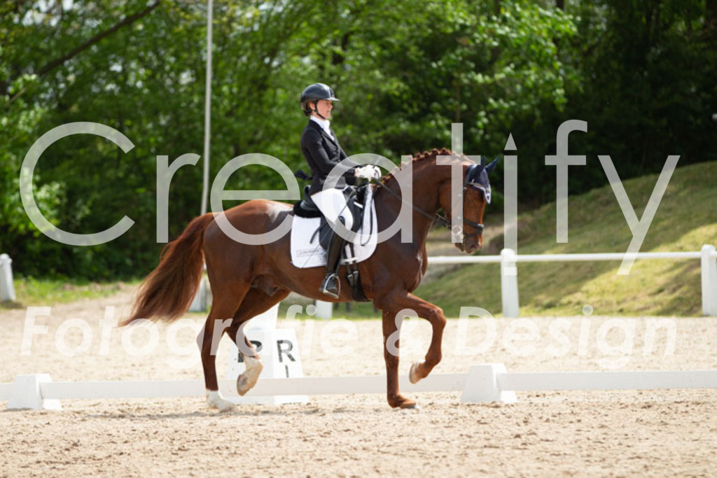 IMG_2505 | Creatify Fotografie