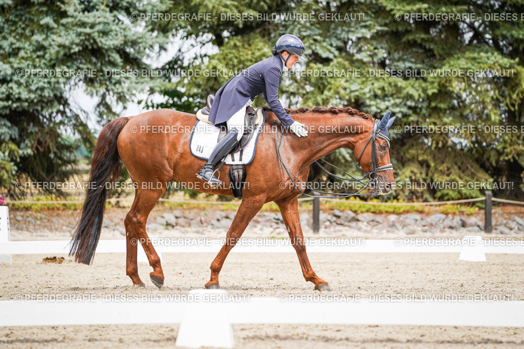 DSC05977 | Pferdegrafie