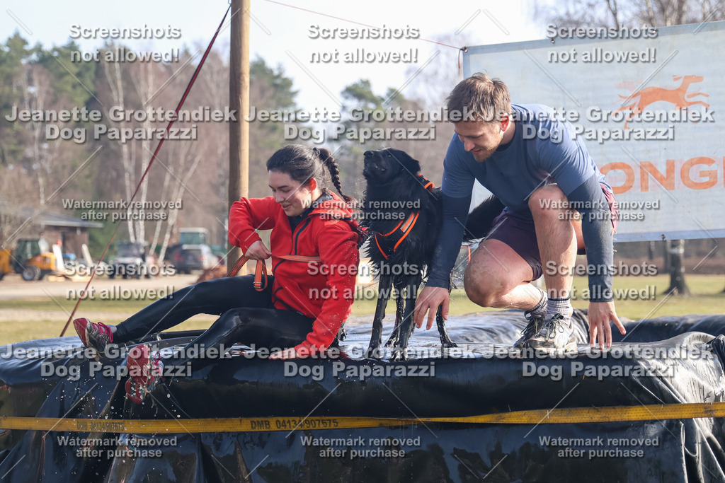 Dog Paparazzi - Strongdog North Mrz26-702 | Dog Paparazzi Jeanette Grottendiek Fotografie & Videografie - Realisiert mit Pictrs.com