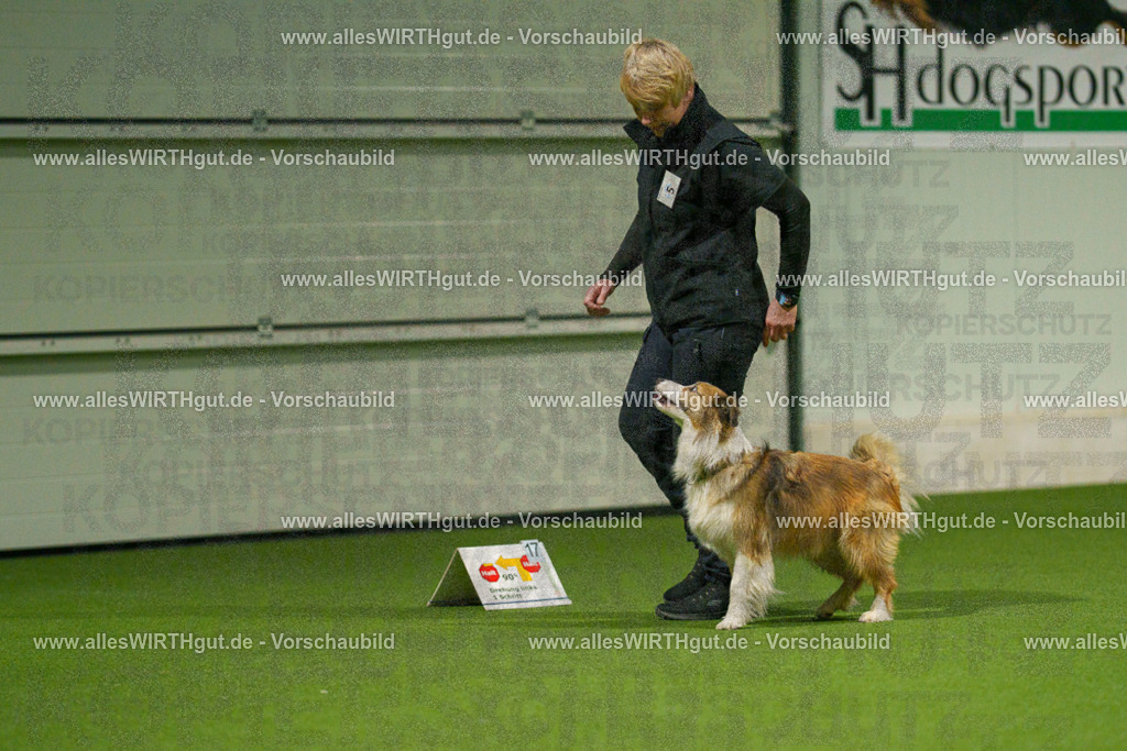 7R504390 | Professionelle Tierfotografie in Mönchengladbach von Daniel Wirth (allesWIRTHgut). Liebevolle & natürliche Bilder von Hunden & Katzen für unvergessliche Erinnerungen.