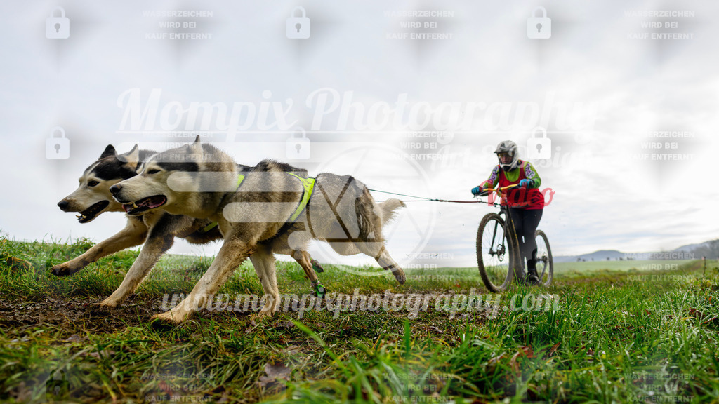 MompixPhotography_Staufertrail2024_SO_DS2-25 | PayLife