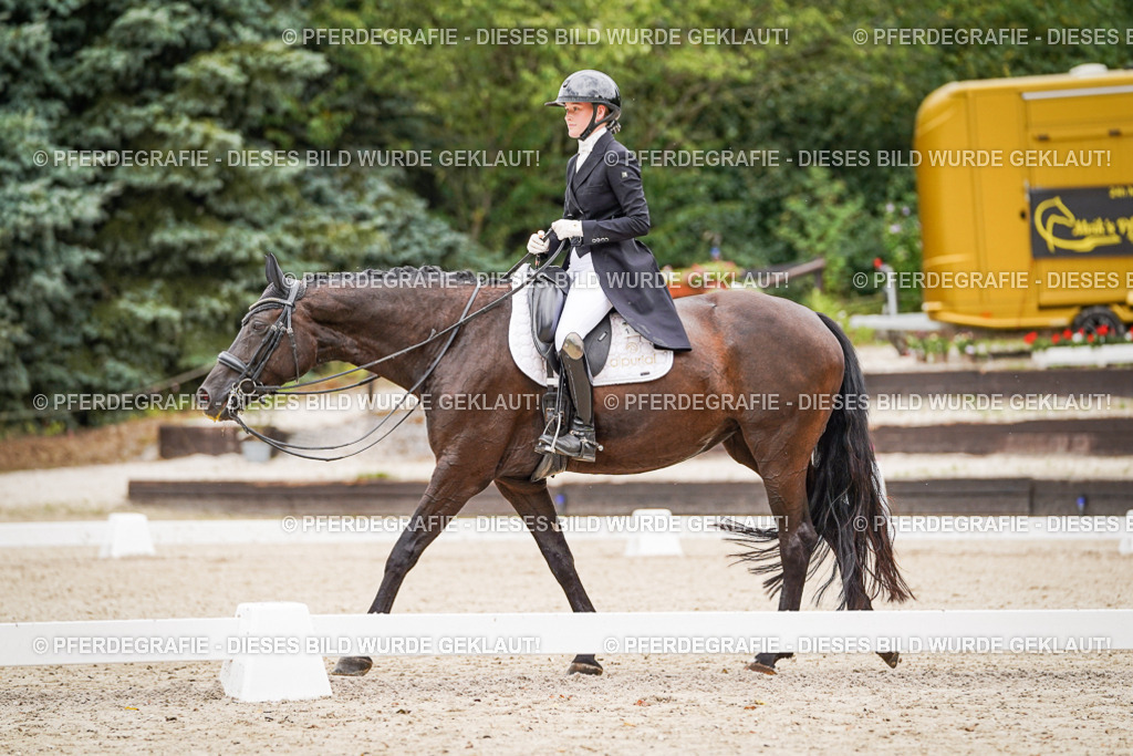 DSC07155 | Pferdegrafie