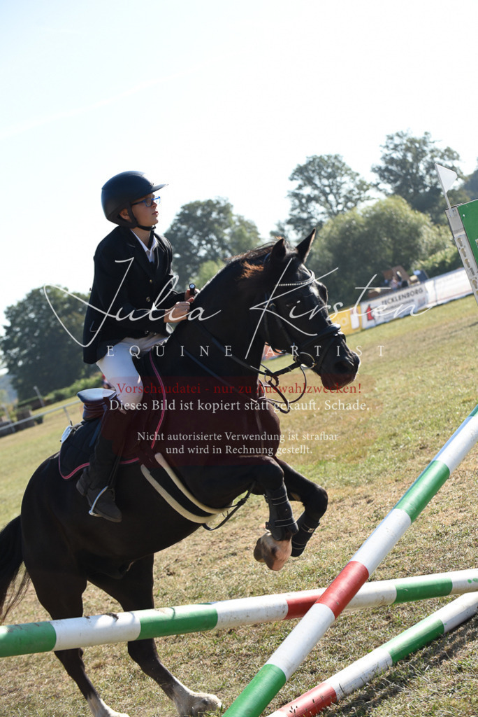 DSC_5756 | Pferde- und Turnierfotografie in Westsachsen. Pferdeportraits, Auftragszeichnungen und intuitive Kunst.