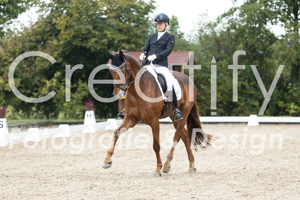 IMG_4523 | Creatify Fotografie