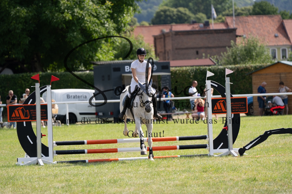 A7V00491 | Pferdefotograf