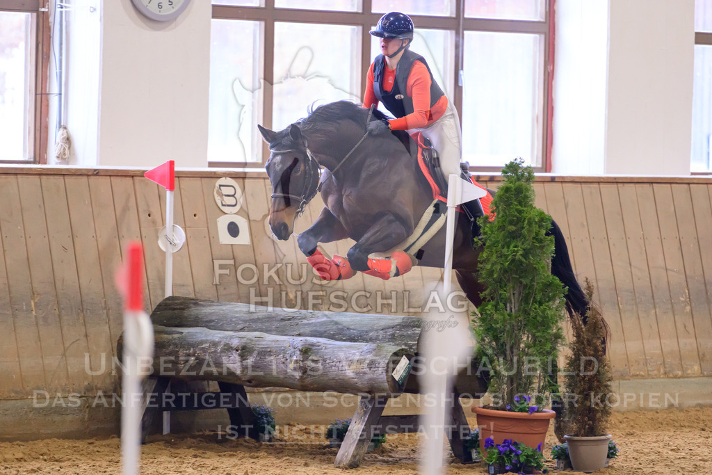 29032026-Schwaiganger-Prfg03-1-1418 | Fokus Hufschlag Fotografie - Realisiert mit Pictrs.com