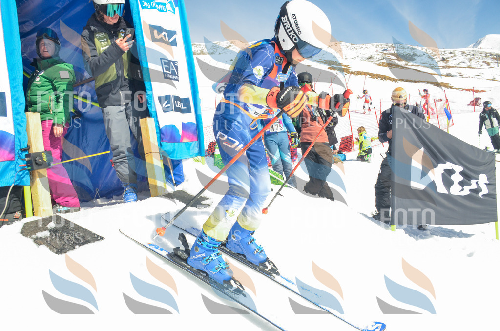 _ELE6056 | holidayphoto