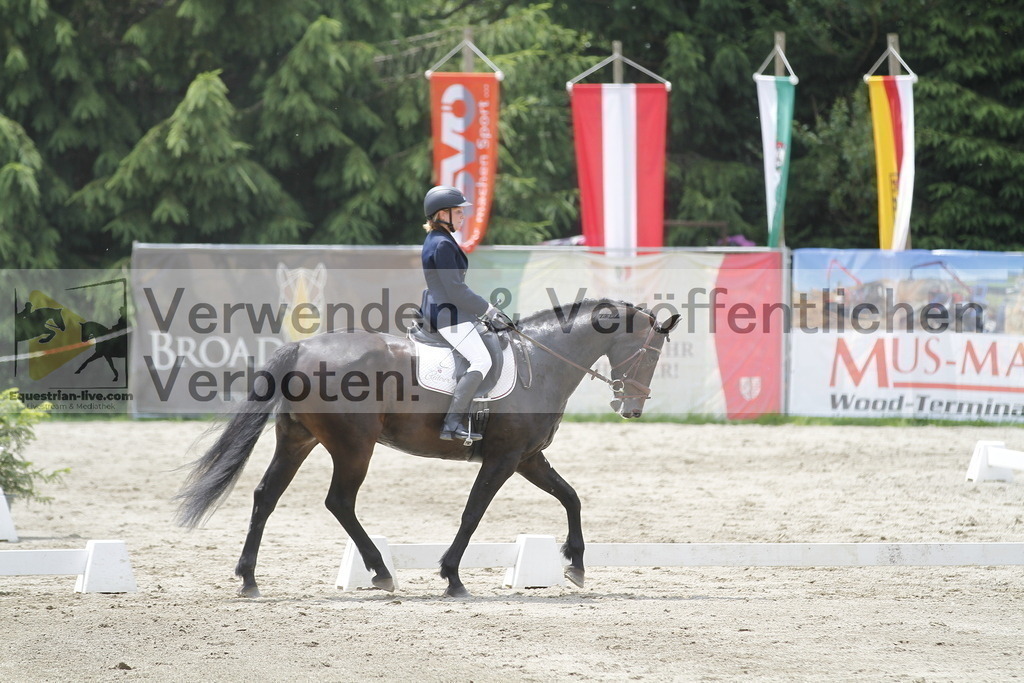 _MG_1490 | equestrian-live-com