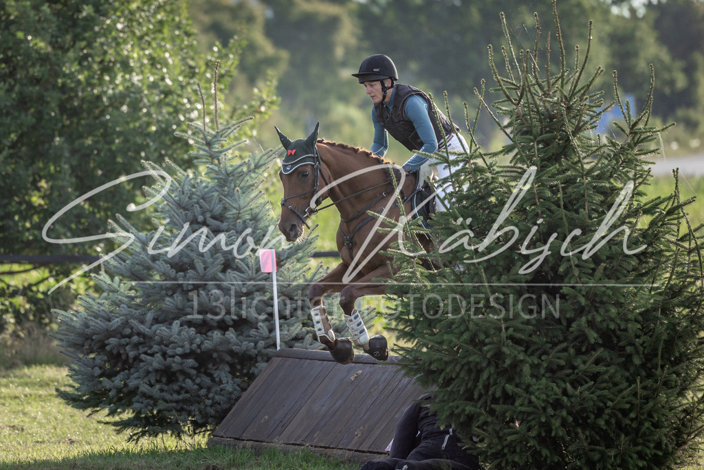 20250907-_3LI8307 | Tierfotografie Pferde, Hunde, Katzen, Haustiere.
Turnierfotografie Reitturniere, Reiten, Springreiten, Dressur in Hanau, dem Main-Kinzig-Kreis und dem Rhein-Main- Gebiet um Frankfurt